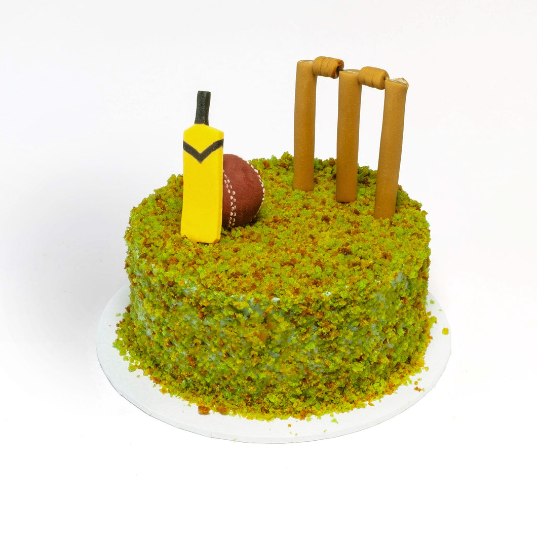 Mini Cricket Cake