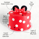 Free From Minnie Mouse Cake with labels showing the red buttercream, polka dots, ears and bow