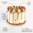 Lotus Biscoff Cake with labels showing the sponge layers, caramel drip, toppings and message space