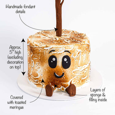 Gluten free Free From Toasted Marshmallow Cake with labels showing the meringue, fondant face and stick