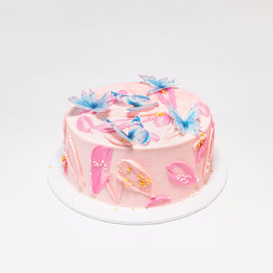 Mini Butterfly Cake