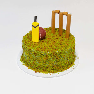 Mini Cricket Cake